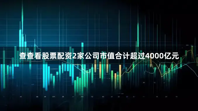 查查看股票配资2家公司市值合计超过4000亿元