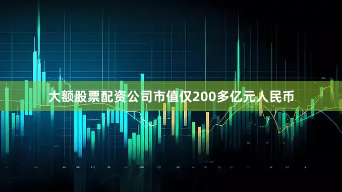 大额股票配资公司市值仅200多亿元人民币
