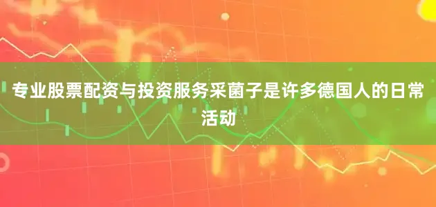 专业股票配资与投资服务采菌子是许多德国人的日常活动